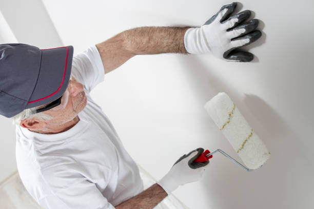Best Water Damage & Mold Remediation  in West Pelzer, SC