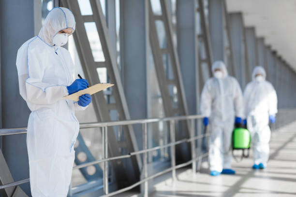 Best Mold Damage Restoration  in West Pelzer, SC