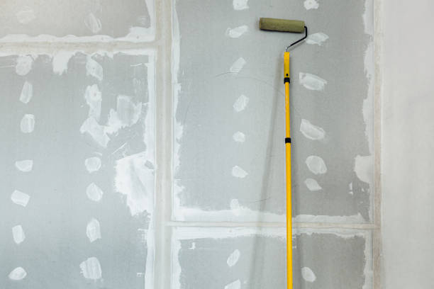 Asbestos and Lead Testing During Mold Inspection in West Pelzer, SC